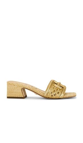Waylon Weave Sandal in . Size 6. Also in 6.5, 7, 7.5, 8.5, 9 - Sam Edelman - Modalova