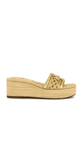 Pauleena Weave Sandal in . Size 10. Also in 10.5, 6, 6.5, 7, 7.5, 8, 8.5, 9, 9.5 - Sam Edelman - Modalova