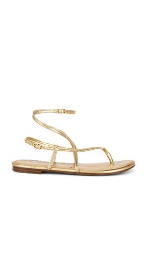 Clarra Sandal in . Taglia 7. Also in 7.5, 9, 9.5 - Sam Edelman - Modalova