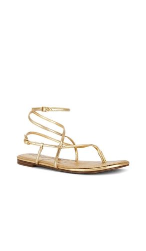 Clarra Sandal in . Size 10. Also in 7, 9.5 - Sam Edelman - Modalova