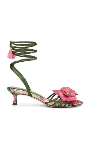 Carla Sandal in Green. - size 6.5 (also in 7, 7.5, 8, 8.5, 9, 9.5) - Sam Edelman - Modalova