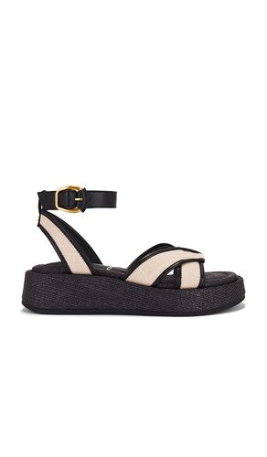 Nylie Sandal in . - size 10 (also in 6, 6.5, 7, 7.5, 8, 8.5, 9) - Sam Edelman - Modalova