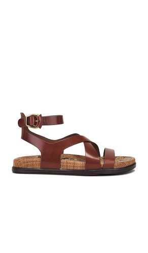 Delia Sandal in Brown. - size 10 (also in 6, 6.5, 7, 7.5, 8, 8.5, 9) - Sam Edelman - Modalova