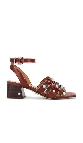Wayla 2 Sandal in Brown. - size 6 (also in 6.5, 7, 7.5, 8, 8.5, 9, 9.5) - Sam Edelman - Modalova