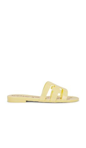 Bay Jelly Sandal in Lemon. - size 7 (also in 8) - Sam Edelman - Modalova