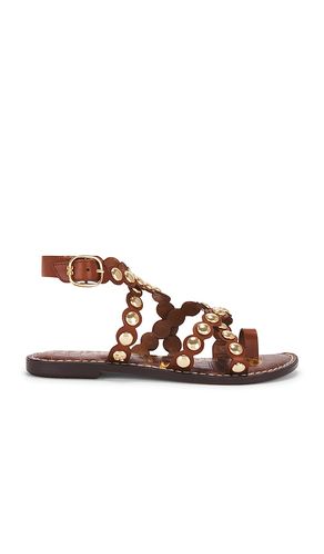 Gloria Sandal in Brown. - size 6 (also in 6.5, 7, 7.5, 8, 8.5, 9, 9.5) - Sam Edelman - Modalova