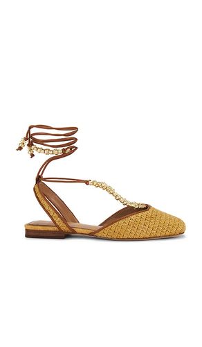 Lily Flat in Brown. - size 6 (also in 6.5, 7, 7.5, 8, 8.5, 9, 9.5) - Sam Edelman - Modalova