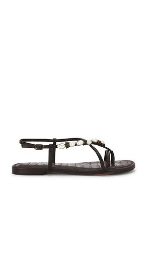 SANDALE CALLA in . Größe 6. Also in 6.5, 7, 7.5, 8, 8.5, 9, 9.5, 10 - Sam Edelman - Modalova