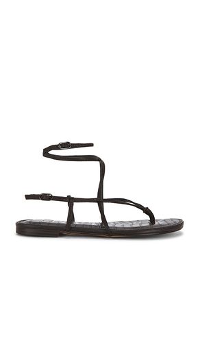 Clarra Sandal in . Size 6. Also in 6.5, 7, 7.5, 8, 8.5, 9, 9.5 - Sam Edelman - Modalova
