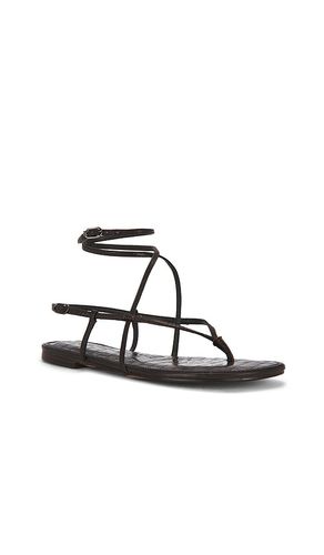 Clarra Sandal in . Taglia 6. Also in 6.5, 7, 7.5, 8, 8.5, 9, 9.5, 10 - Sam Edelman - Modalova