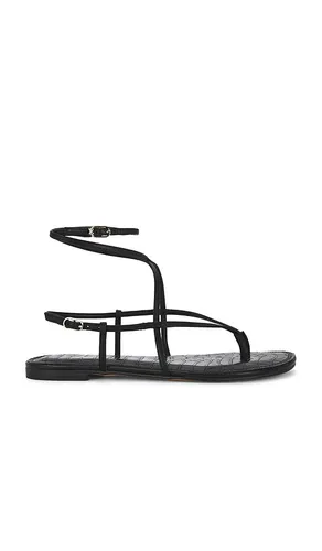 Clarra Sandal in . - size 6 (also in 6.5, 7, 7.5, 8, 8.5, 9, 9.5) - Sam Edelman - Modalova