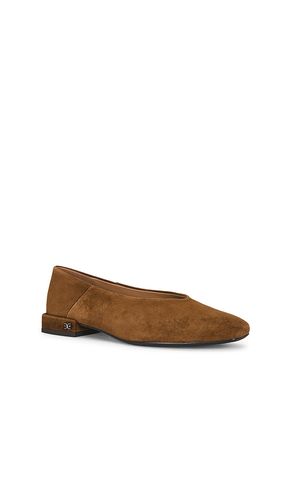 Kasey Ballet in Brown. - size 6 (also in 6.5, 7, 7.5, 8, 9) - Sam Edelman - Modalova