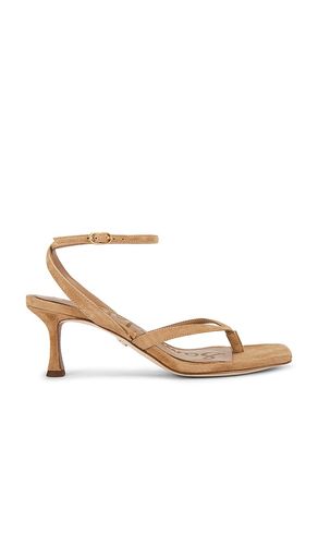 Pax Sandal in . Size 10. Also in 6.5, 7, 7.5, 9.5 - Sam Edelman - Modalova