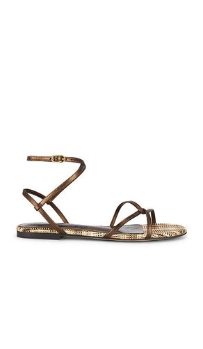 Ellina Sandal in , . Size 6. Also in 7, 7.5, 8, 8.5, 9, 10 - Sam Edelman - Modalova