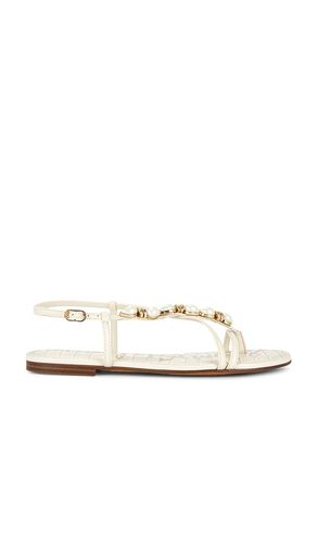 Calla 2 Sandal in . Size 6.5. Also in 7, 7.5, 8, 8.5, 9 - Sam Edelman - Modalova