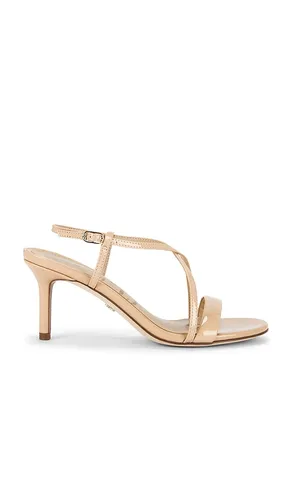 Ginny Sandal in . Size 10. Also in 6, 6.5, 7, 7.5, 8, 8.5, 9, 9.5 - Sam Edelman - Modalova