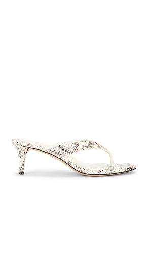 Amie Sandal in . Size 10. Also in 6, 7, 7.5, 8, 8.5, 9, 9.5 - Sam Edelman - Modalova