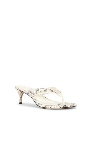 Amie Sandal in . Size 10. Also in 6, 7, 7.5, 8, 8.5, 9, 9.5 - Sam Edelman - Modalova