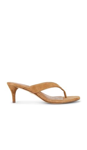 Amie Sandal in . Size 6. Also in 7, 9.5 - Sam Edelman - Modalova