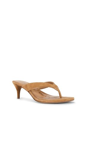 Amie Sandal in . Size 6. Also in 7, 9.5 - Sam Edelman - Modalova