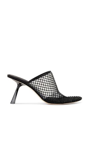 Dolly Mule in . - size 37 (also in 38, 41) - Studio Amelia - Modalova