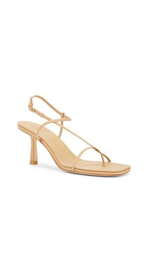 Cross Front 70 Heel in . Size 36. Also in 37, 38, 39, 40, 35 - Studio Amelia - Modalova