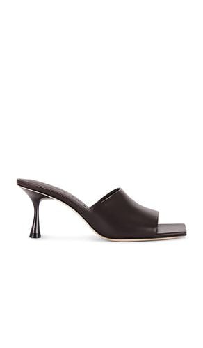 Classic 70 Mule in . - size 36 (also in 37, 38, 39) - Studio Amelia - Modalova