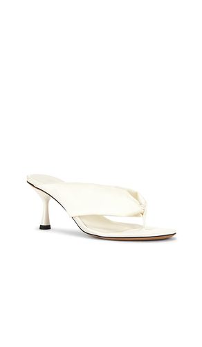 SANDALE PALOMA FLIP FLOP in . Größe 36. Also in 37, 38, 40 - Studio Amelia - Modalova