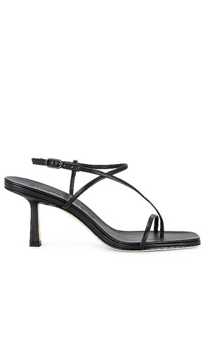 Cross Front 70 Heel in . - size 36 (also in 39) - Studio Amelia - Modalova