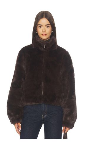 BOMBERJACKE AUS WEBPELZ EVEREST in . Größe L. Also in M, S, XL, XS, XXS - Sanctuary - Modalova