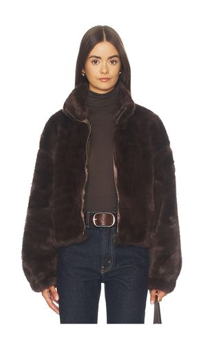 BOMBERJACKE AUS WEBPELZ EVEREST in . Größe L. Also in M, S, XL, XS, XXS - Sanctuary - Modalova