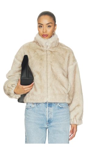 BOMBERJACKE AUS WEBPELZ EVEREST in . Größe M. Also in S, XS, XXS - Sanctuary - Modalova