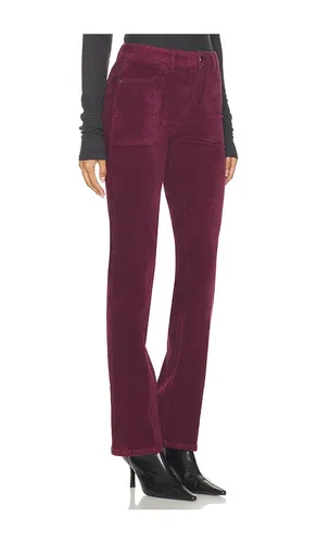 Play Date Bootcut Pant in Wine. - size 24 (also in 25, 26, 27, 28, 29, 30) - Sanctuary - Modalova