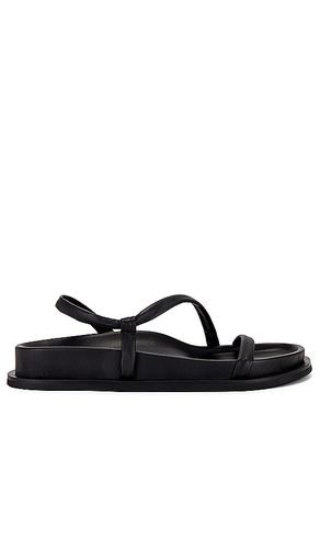 Twist Sandal in . - size 36 (also in 37, 40, 41) - St. Agni - Modalova