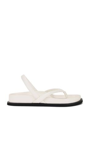 Sling Back Thong Sandal in Cream. - size 36 (also in 37, 38, 39, 40, 41) - St. Agni - Modalova