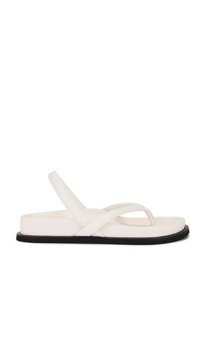 Sling Back Thong Sandal in Cream. - size 36 (also in 41) - St. Agni - Modalova
