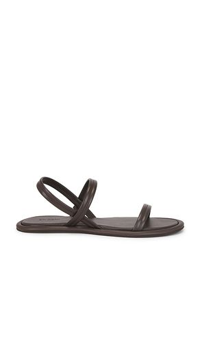 Fine Strap Sandal in Brown. - size 37 (also in 38, 39, 40) - St. Agni - Modalova