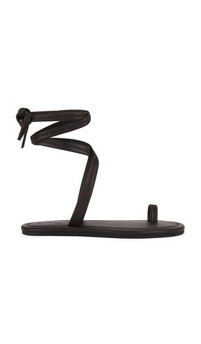 Tie Up Sandal in Brown. - size 36 (also in 37, 38, 39, 40, 41) - St. Agni - Modalova
