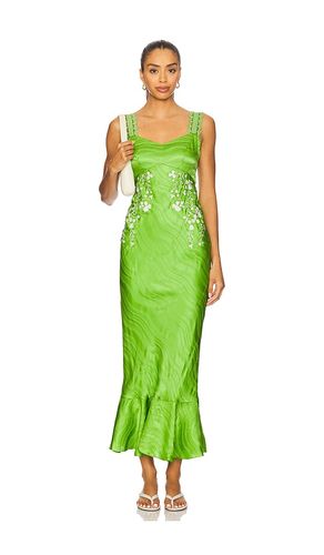 Mimi C Dress in & Ivory in Green. - size 0 (also in 2, 4, 8) - SALONI - Modalova