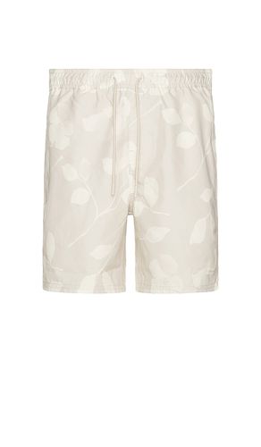 Timothy Floral Impressions Swim Short in Grey. - size L (also in M, S, XL/1X) - SATURDAYS NYC - Modalova