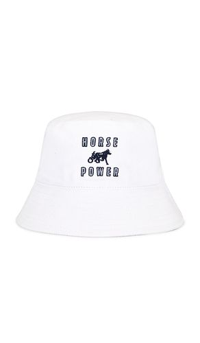 Embroidered Bucket Hat in - Siegelman Stable - Modalova
