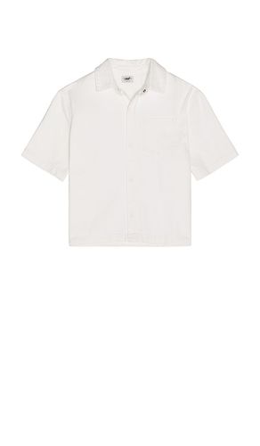 Short Sleeve Button Down in . Size L. Also in M, S, XS, XXL/2X - Siegelman Stable - Modalova