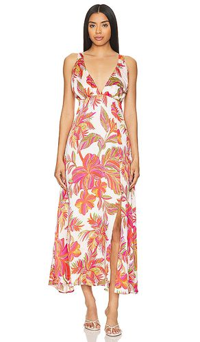 Elodie Dress in . Taglia XS - Sundress - Modalova