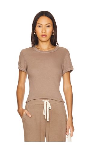 Shrunken Tee in . - size M (also in S, XL, XS) - SUNDRY - Modalova