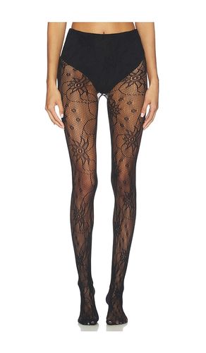 Wild Flower Lace Mesh Tights in - Stems - Modalova