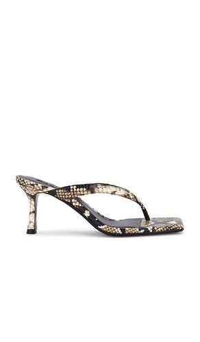 Elvie III Sandal in Beige. - size 36 (also in 38, 39, 41) - SENSO - Modalova