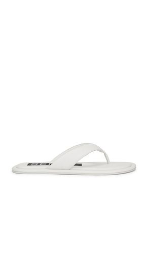 Innika III Flip Flop in . Size 37. Also in 39 - SENSO - Modalova