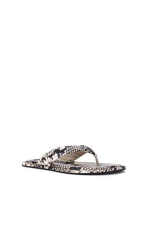 Innika III Flip Flop in . Size 38. Also in 39 - SENSO - Modalova