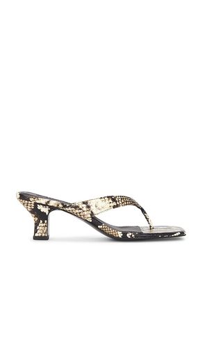 Poesie Sandal in Cream. - size 36 (also in 37, 38, 39, 40, 41) - SENSO - Modalova