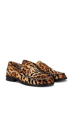 Cooper VII Loafer in Brown. - size 39 (also in 40) - SENSO - Modalova